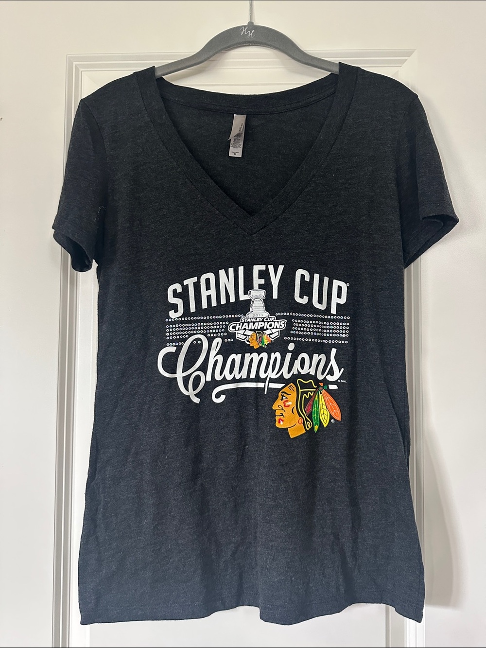 Next Level Apparel Black V-Neck Stanley Cup Champions Tee
